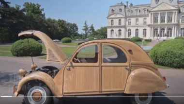 Wood Car: পুরো গাড়ি তৈরি গাছের কাঠ দিয়ে, নিলামে দাম উঠল যত, দেখুন ভিডিয়ো